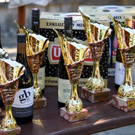 20170608 tn stars for stars media cup foto radovan stoklasa 373r